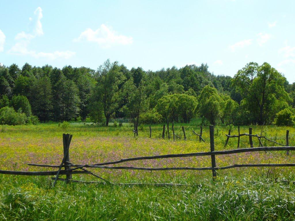 Люджа з panoramio.com - Люджа