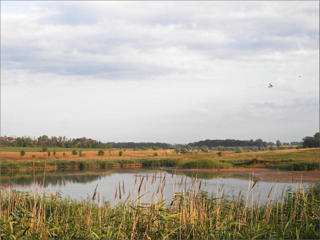 Авдотівка з panoramio.com - Авдотівка