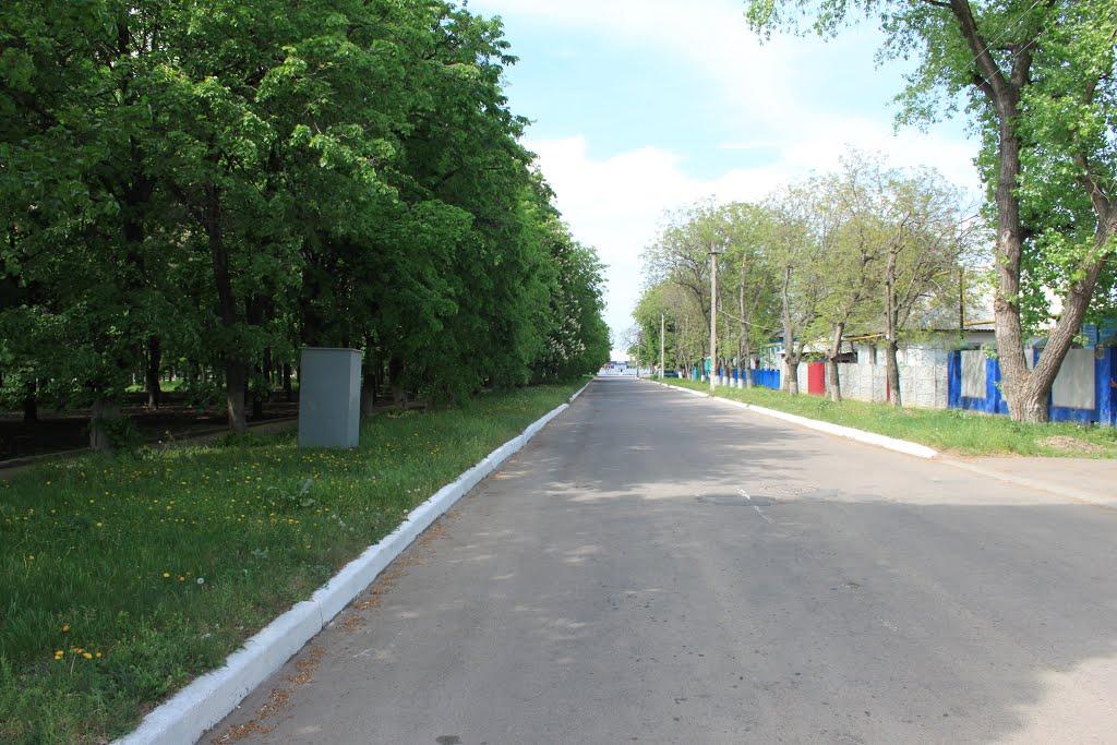 Долинська з panoramio.com - Долинська