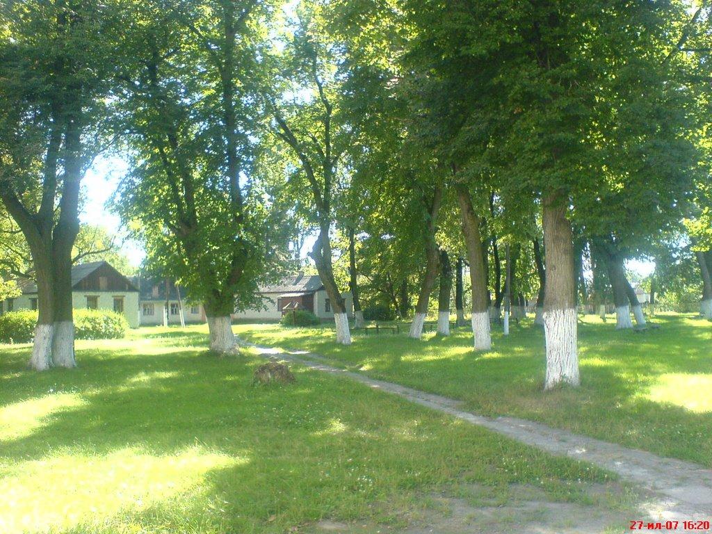 Бочечки з panoramio.com - Бочечки