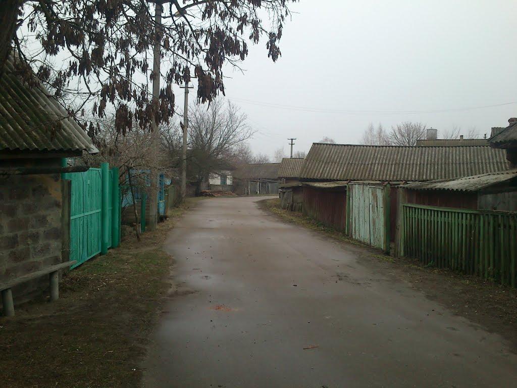 Губичі з panoramio.com - Губичі