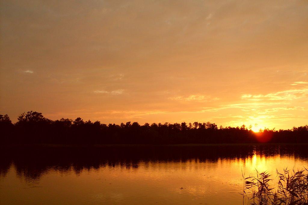 Підріччя з panoramio.com - Pidrichchya