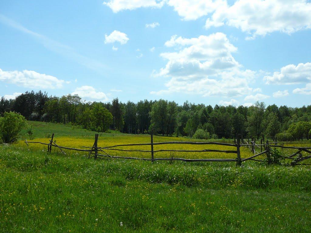 Люджа з panoramio.com - Люджа