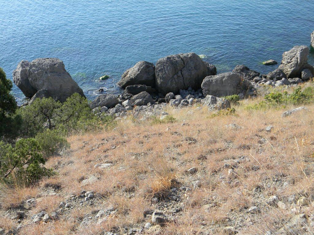 Долина з panoramio.com - Долина
