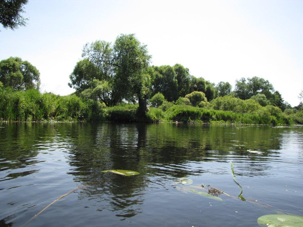 Каплинці з panoramio.com - Каплинці