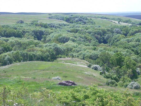 Ровеньки з panoramio.com - Rovenky