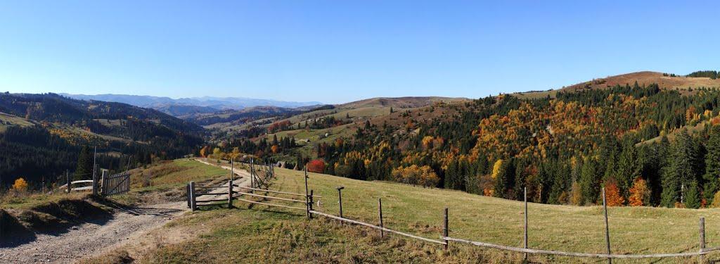 Фошки з panoramio.com - Фошки