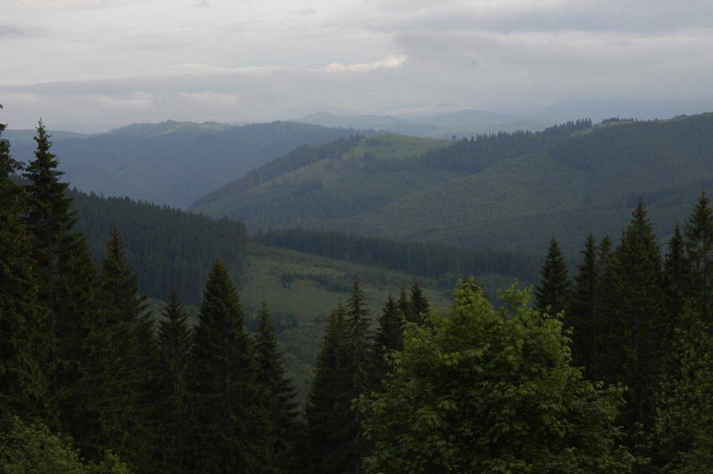 Долішній Шепіт з panoramio.com - Долишний Шепот