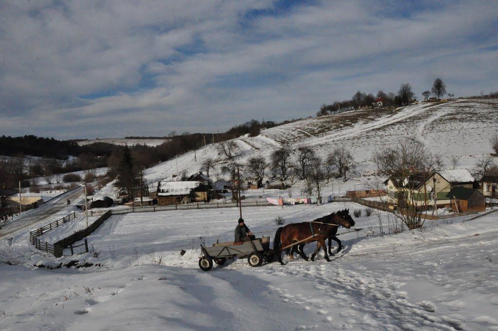 Поляна з panoramio.com - Поляна
