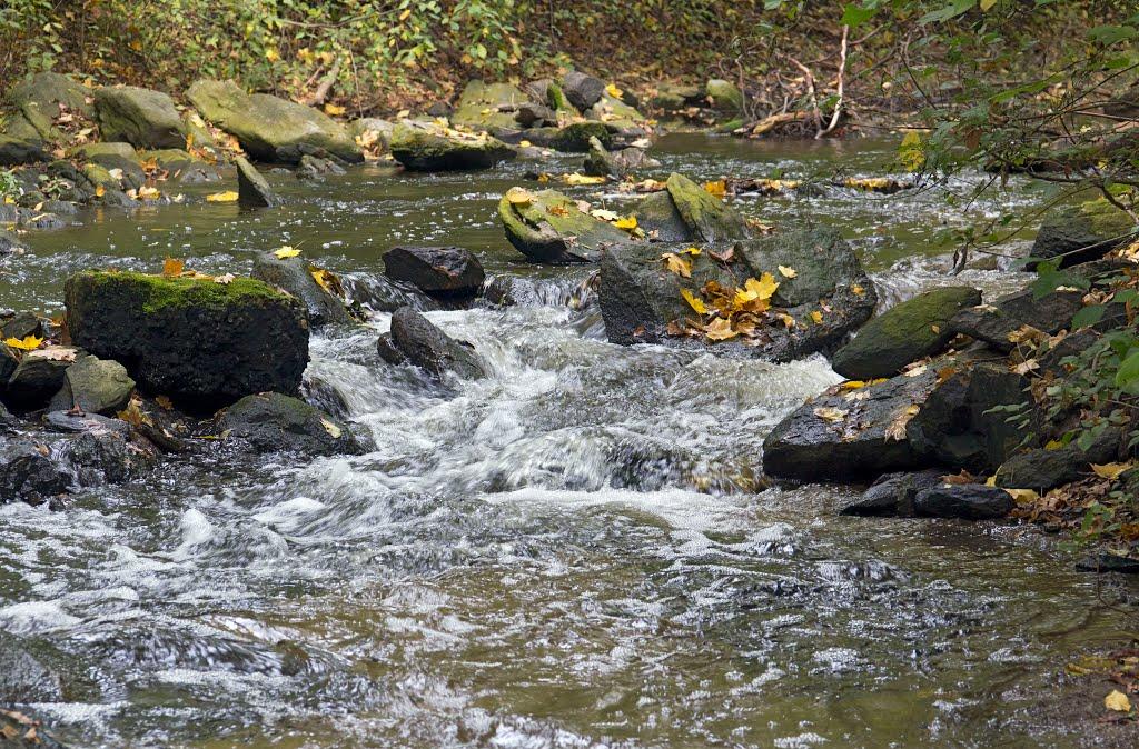 Ганнівка з panoramio.com - Ганнівка