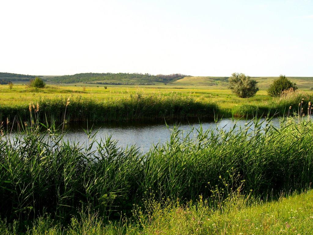 Шандрівка з panoramio.com - Шандрівка