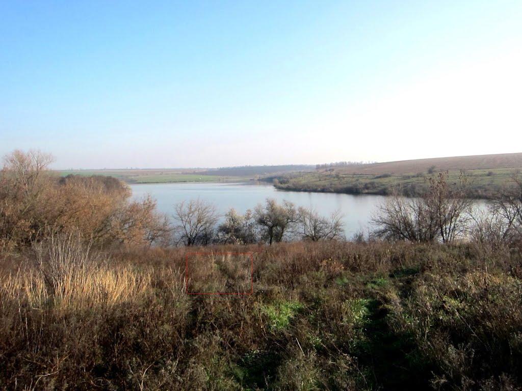 Козакова Балка з panoramio.com - Козакова Балка