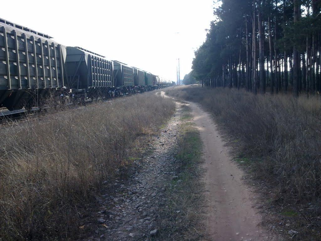 Галицинове з panoramio.com - Галициново