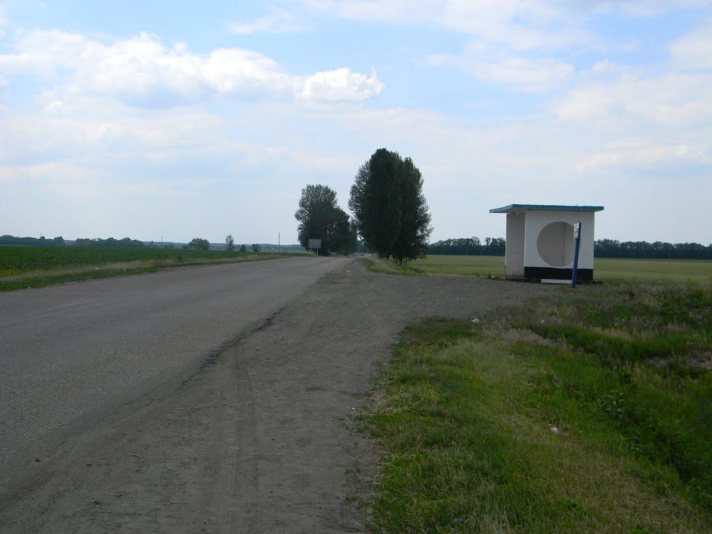Білозір'я з panoramio.com - Белозерье
