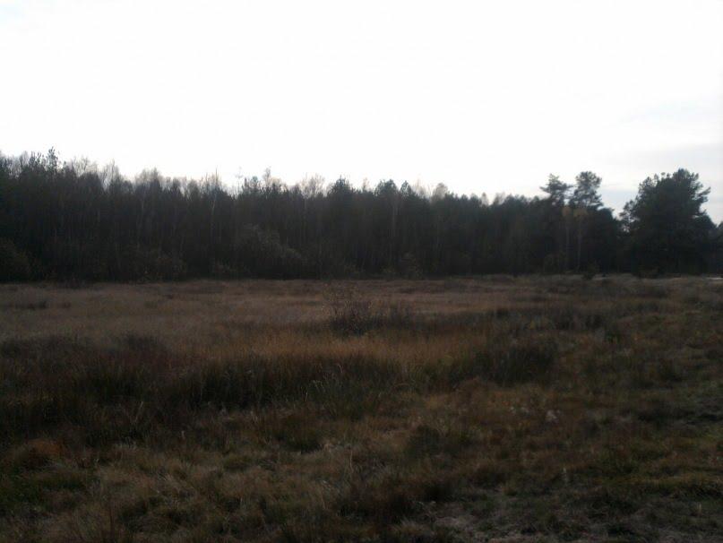 Жиричі з panoramio.com - Жиричі