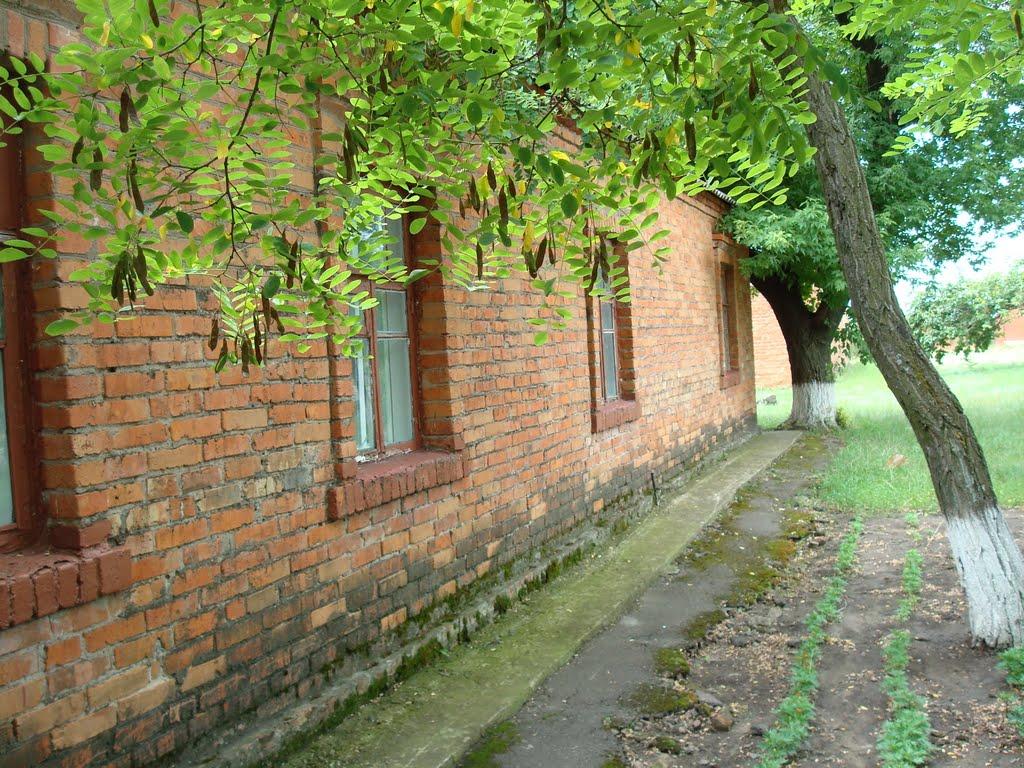Побузьке з panoramio.com - Pobuzke