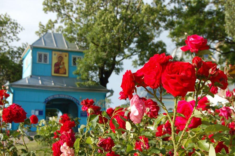 Нововолинськ з panoramio.com - Нововолинськ