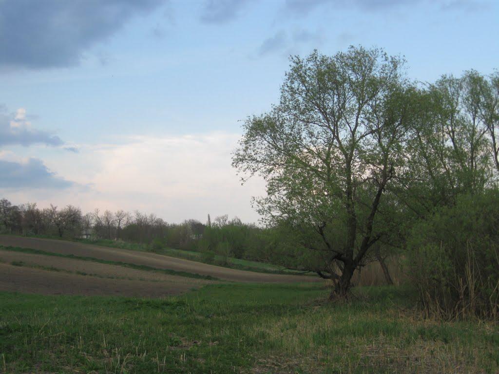 Коробчино з panoramio.com - Коробчино