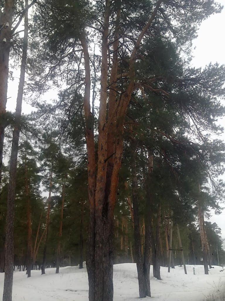 Кремінна з panoramio.com - Кременная
