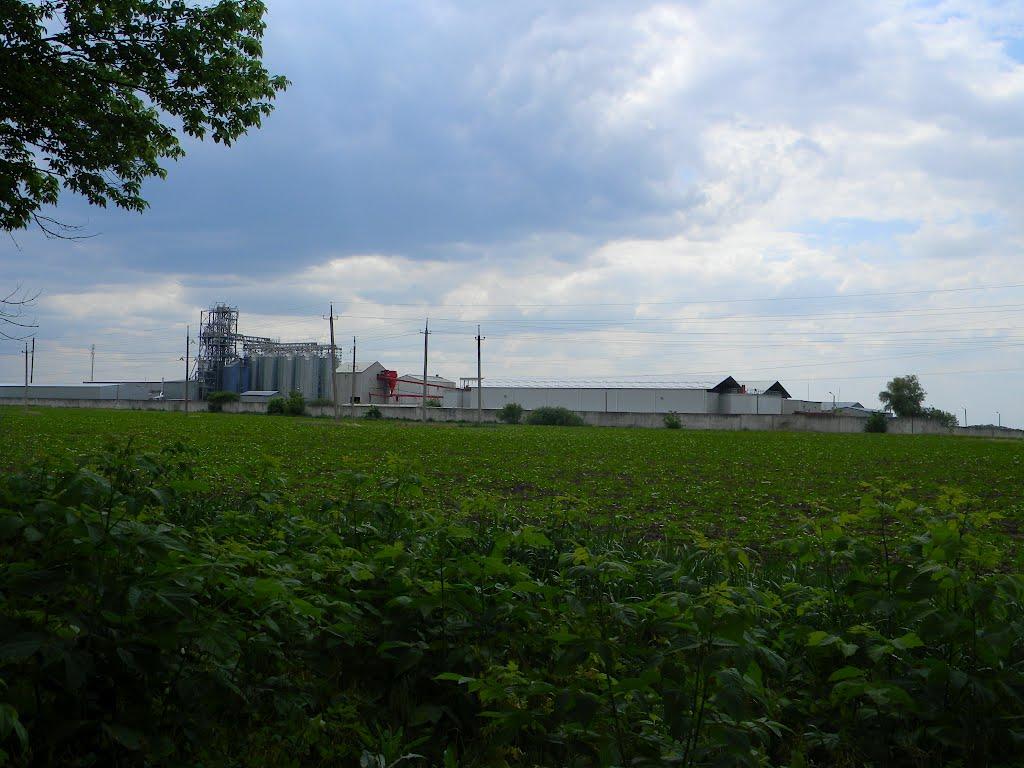Білозір'я з panoramio.com - Белозерье