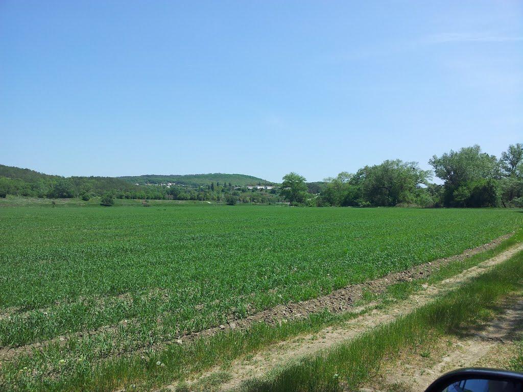 Каштанове з panoramio.com - Каштанове