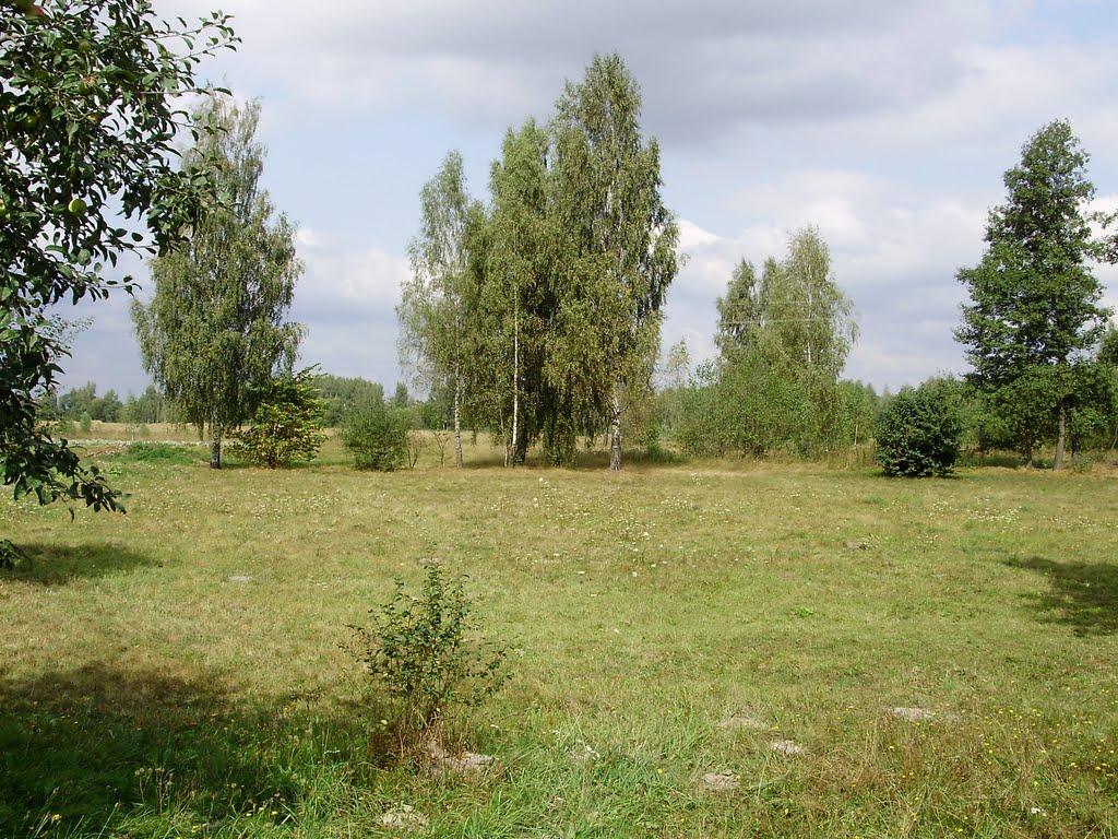 Ришавка з panoramio.com - Ришавка