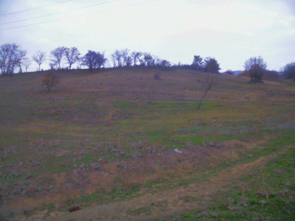 Плотинне з panoramio.com - Плотинное