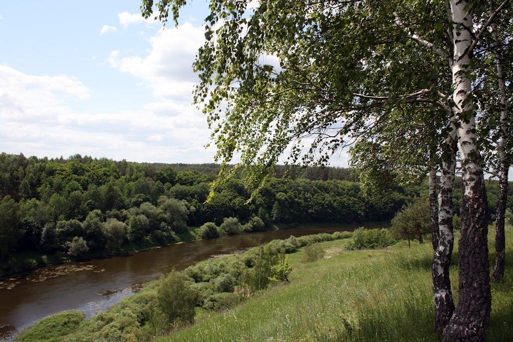 Губків з panoramio.com - Губків