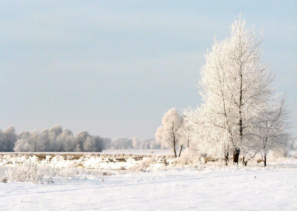 Куковичі з panoramio.com - Kukovychi