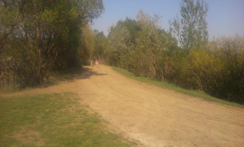 Слобода-Гулівська з panoramio.com - Слобода-Гулівська