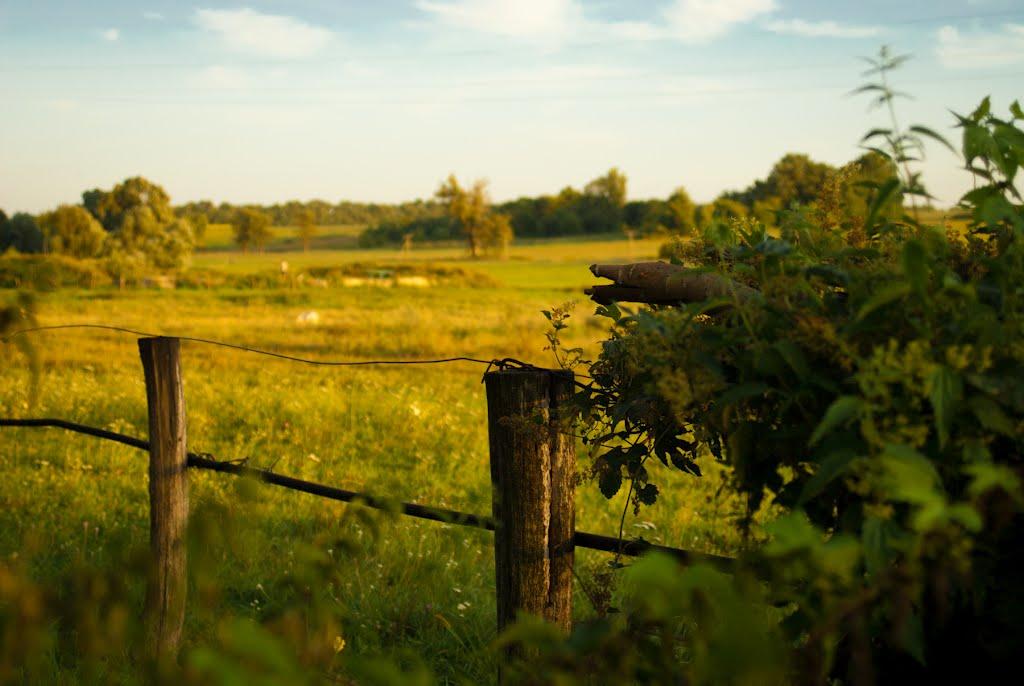 Остапівка з panoramio.com - Остаповка