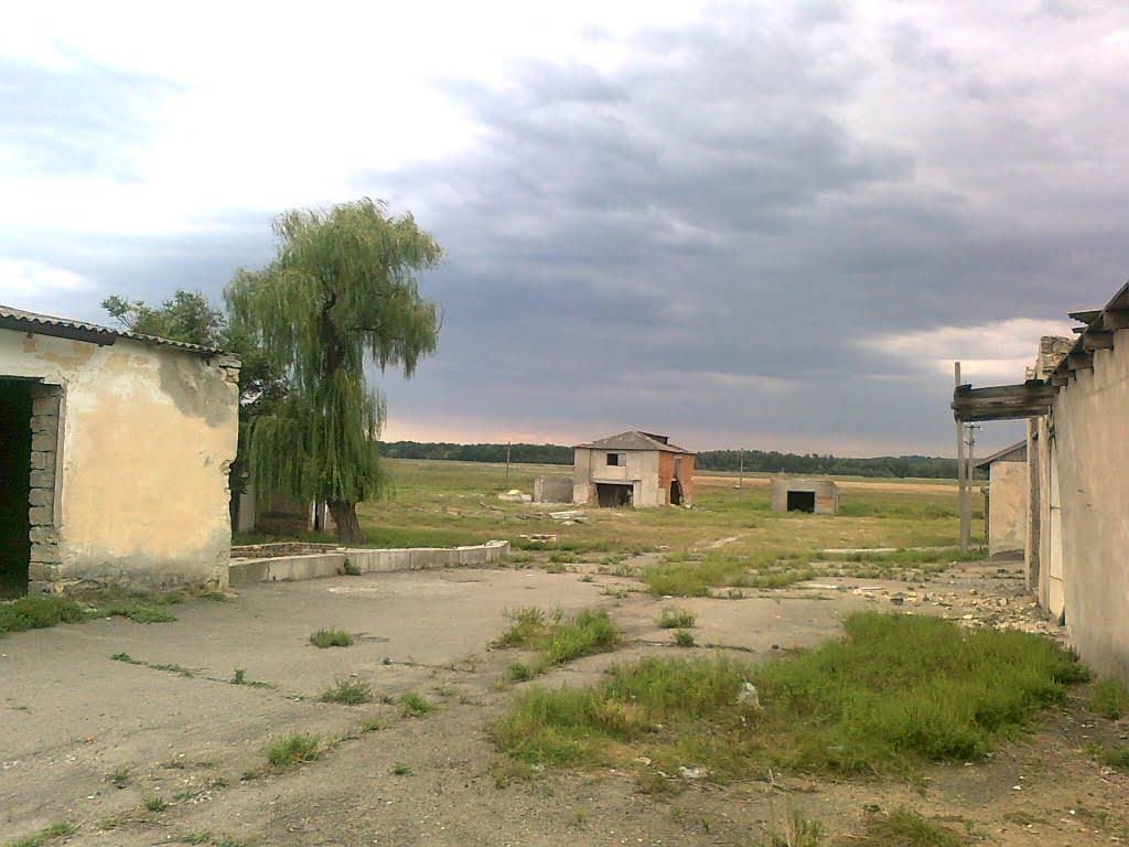 Березівка з panoramio.com - Березівка