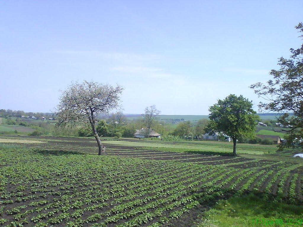 Макіївка з panoramio.com - Макіївка