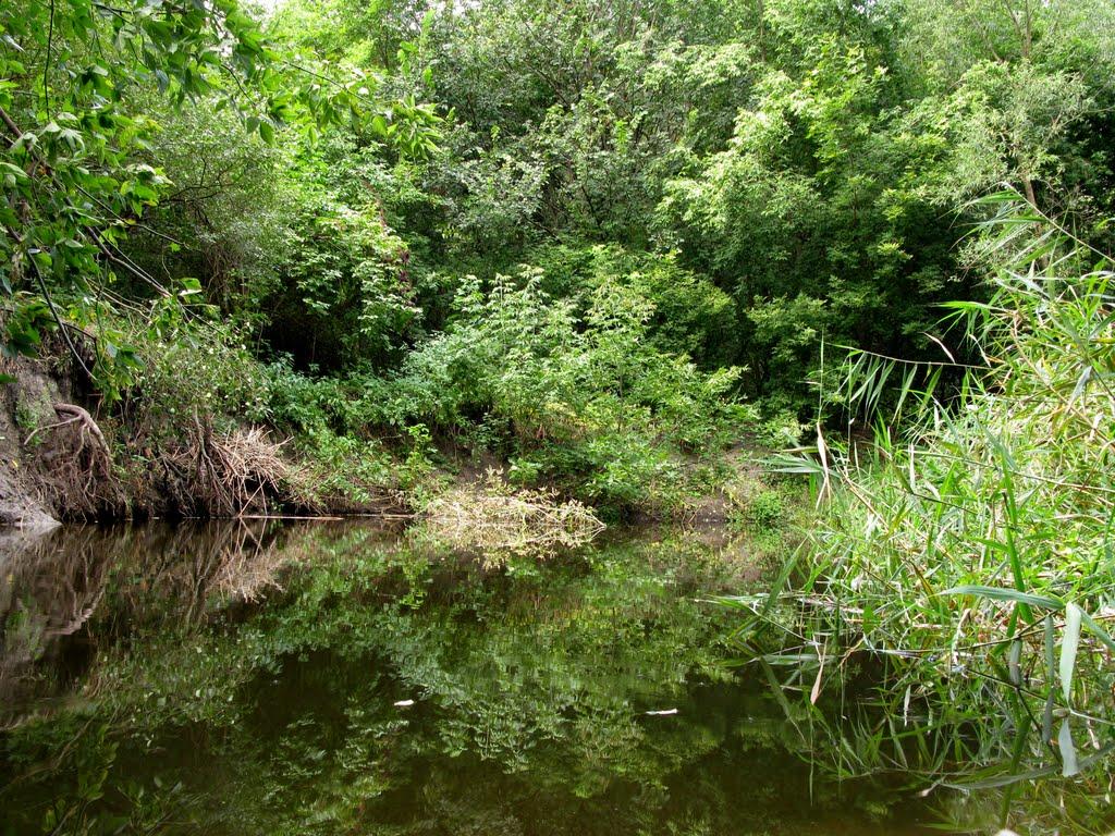 Ганнівка з panoramio.com - Ганнівка