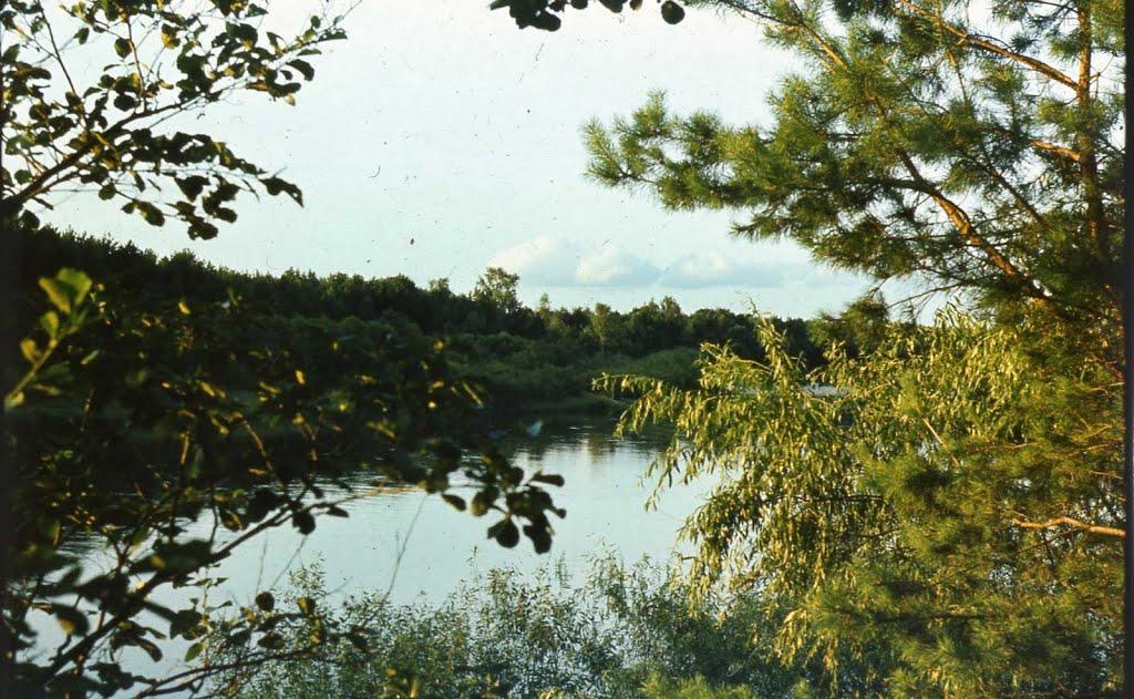 Карпилівка з panoramio.com - Карпиловка