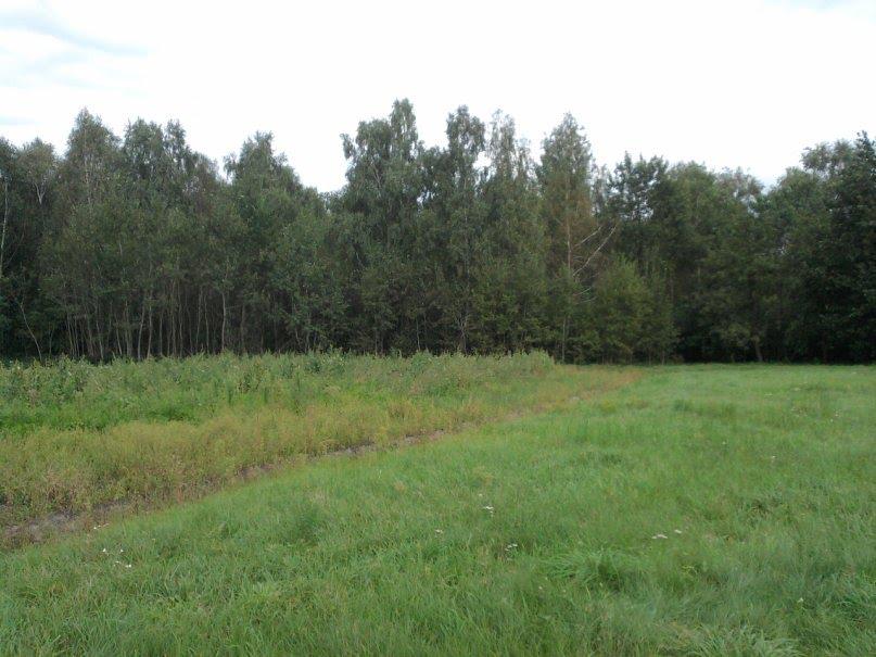 Жиричі з panoramio.com - Жиричі