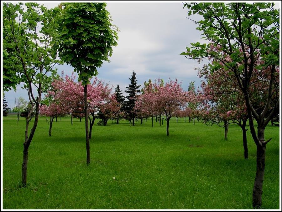 Цукурине з panoramio.com - Цукурине