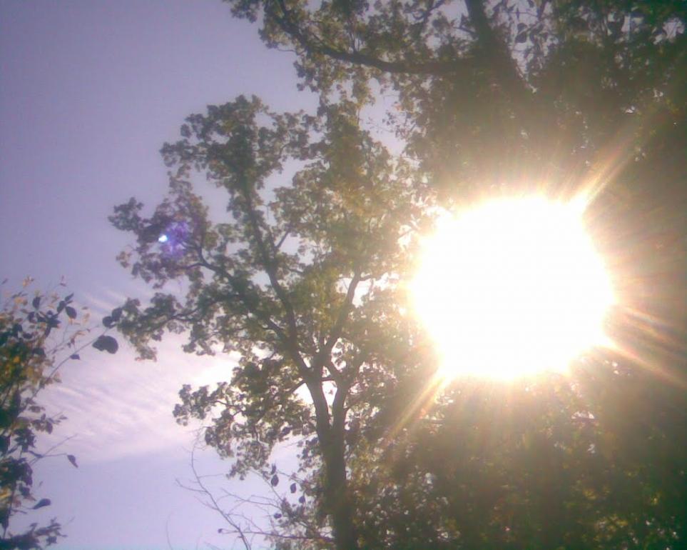 Сухоліси з panoramio.com - Sukholisy