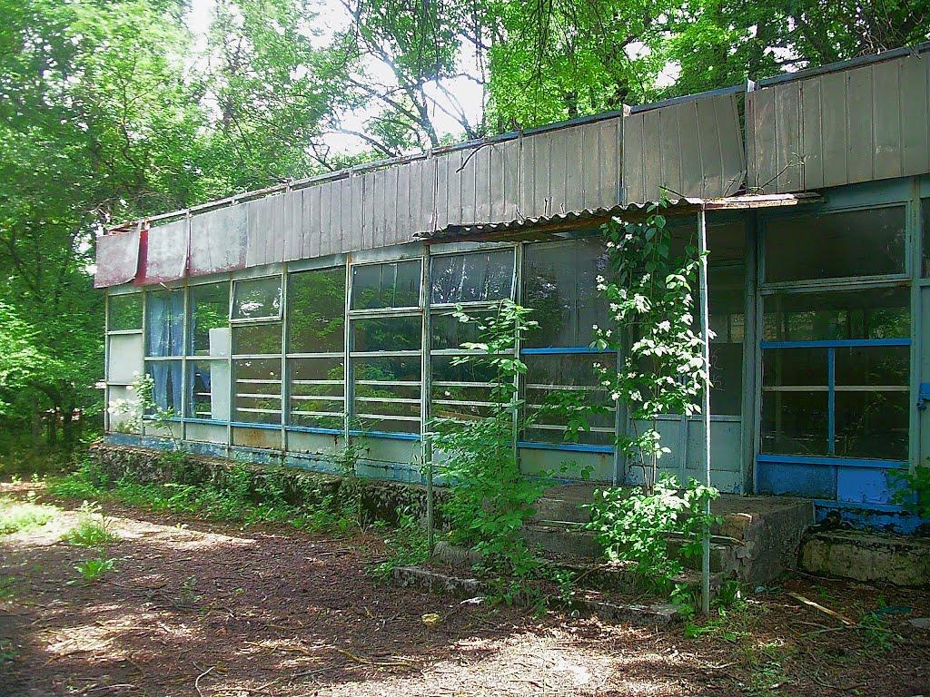 Краснолісся з panoramio.com - Краснолесье