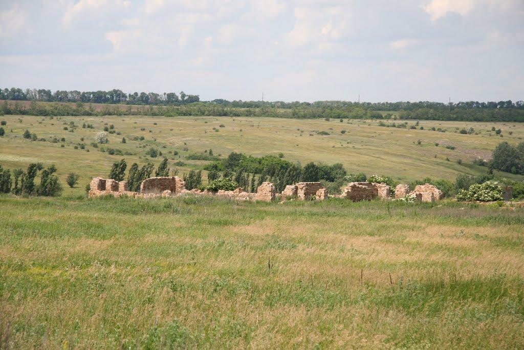 Кінські Роздори з panoramio.com - Конские Раздоры