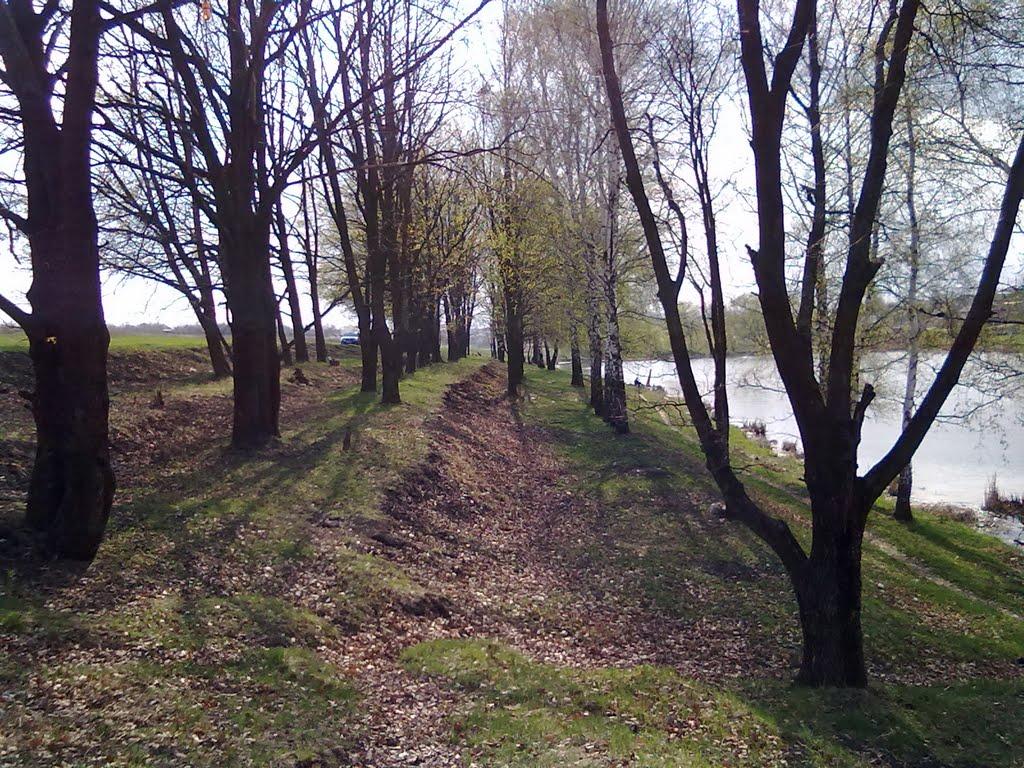 Логачівка з panoramio.com - Логачевка