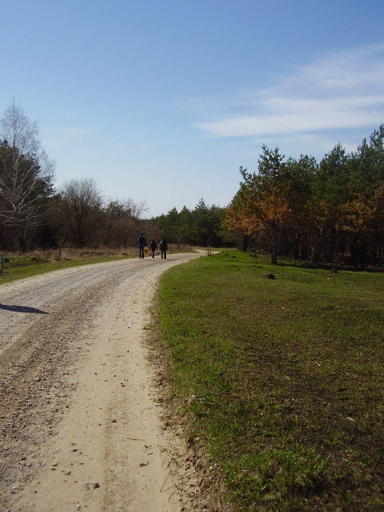 Кирияківщина з panoramio.com - Кирияковщина