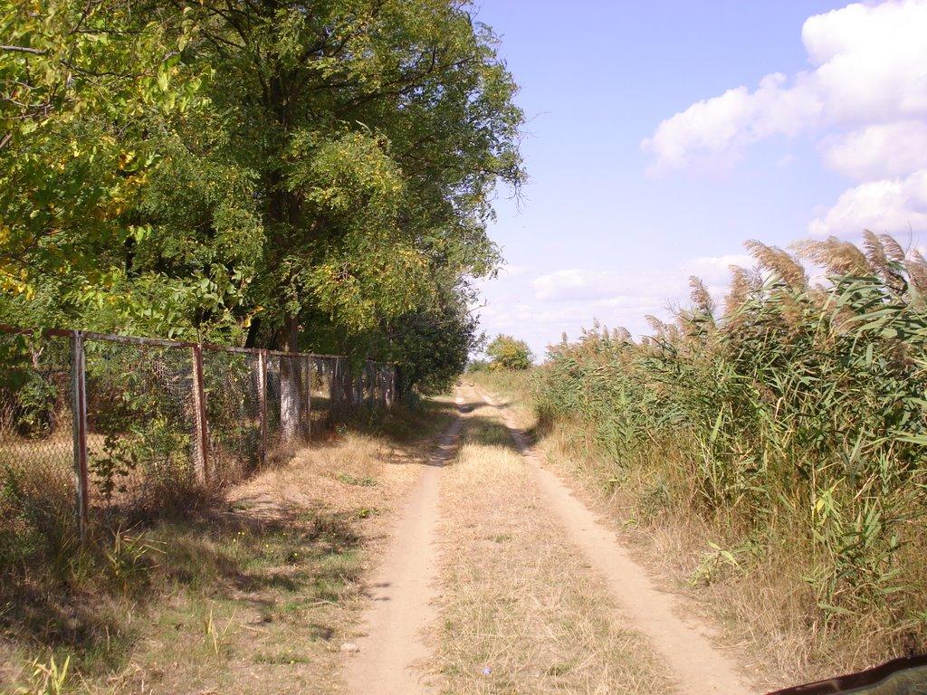 Біленьке з panoramio.com - Біленьке