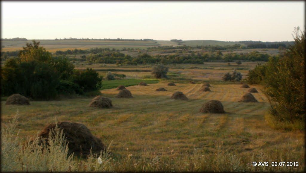 Стряпівка з panoramio.com - Стряпівка