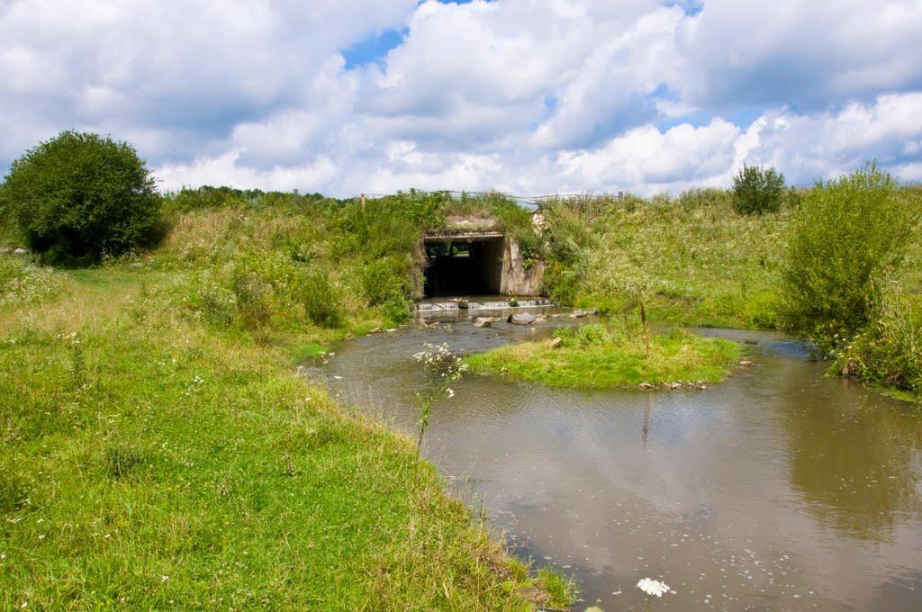 Скипче з panoramio.com - Скипче