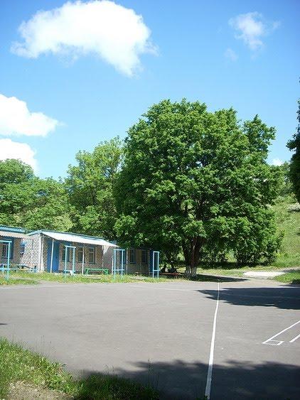 Ровеньки з panoramio.com - Ровеньки