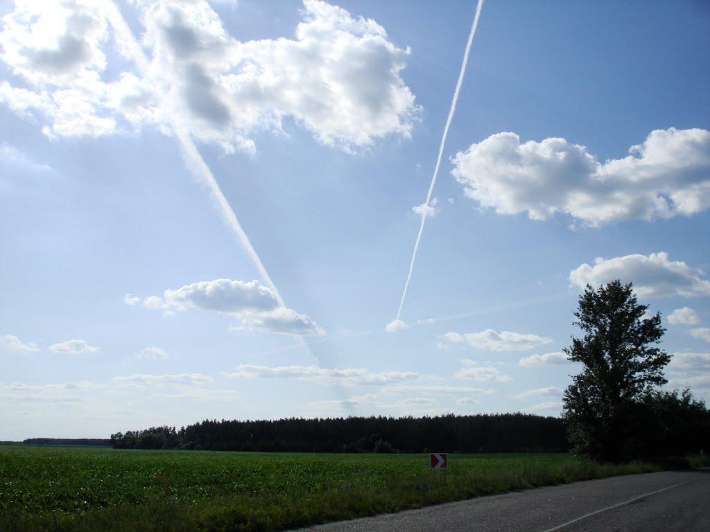 Великі Гуляки з panoramio.com - Великі Гуляки