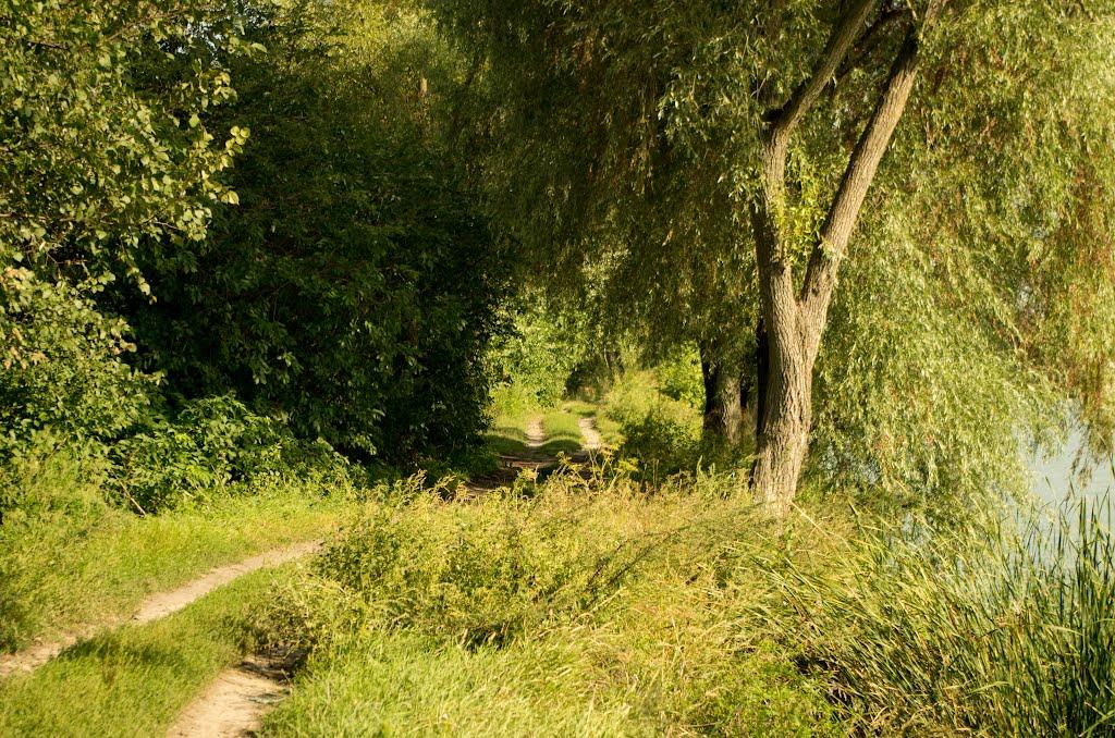 Рудьківка з panoramio.com - Рудьківка