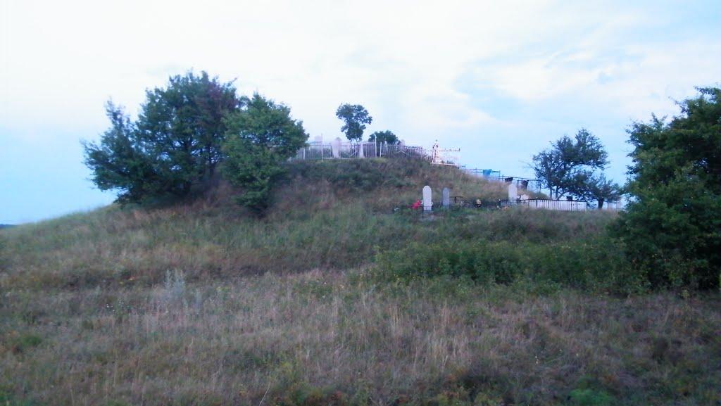 Кияшки з panoramio.com - Кияшки