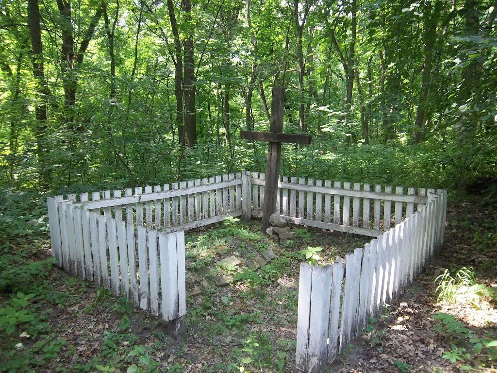 Ташань з panoramio.com - Ташань